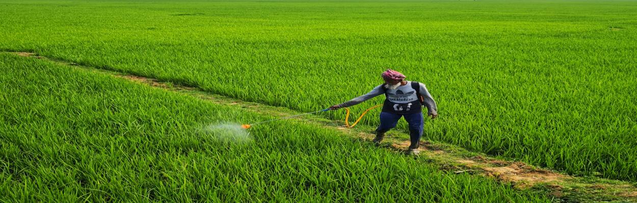 Sector Study | Pesticides