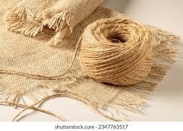 Sector Study | Jute