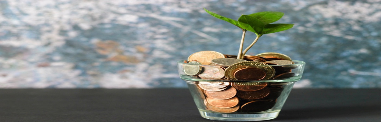 Sector Study | Microfinance